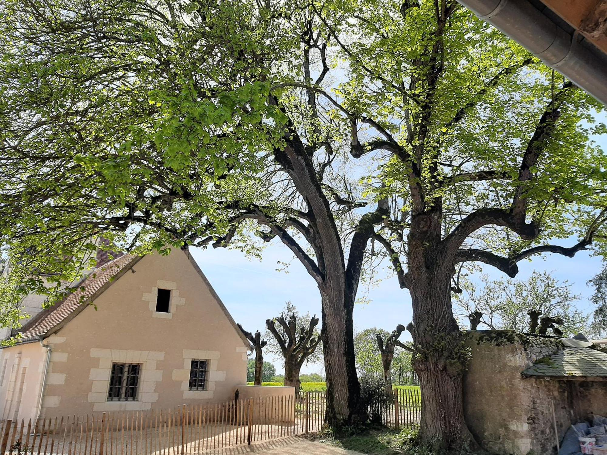 Le Puits Renaissance - Gites De Caractere Et Piscine Chauffee Chambourg-sur-Indre Extérieur photo